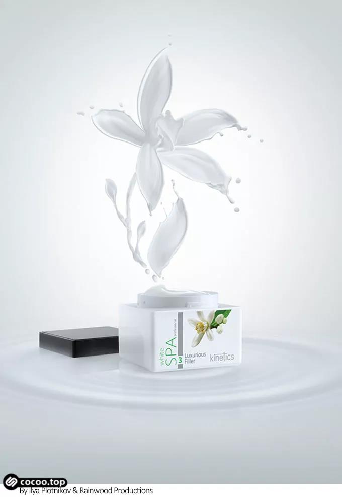 网页设计 网页设计